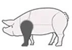 pig front leg icon